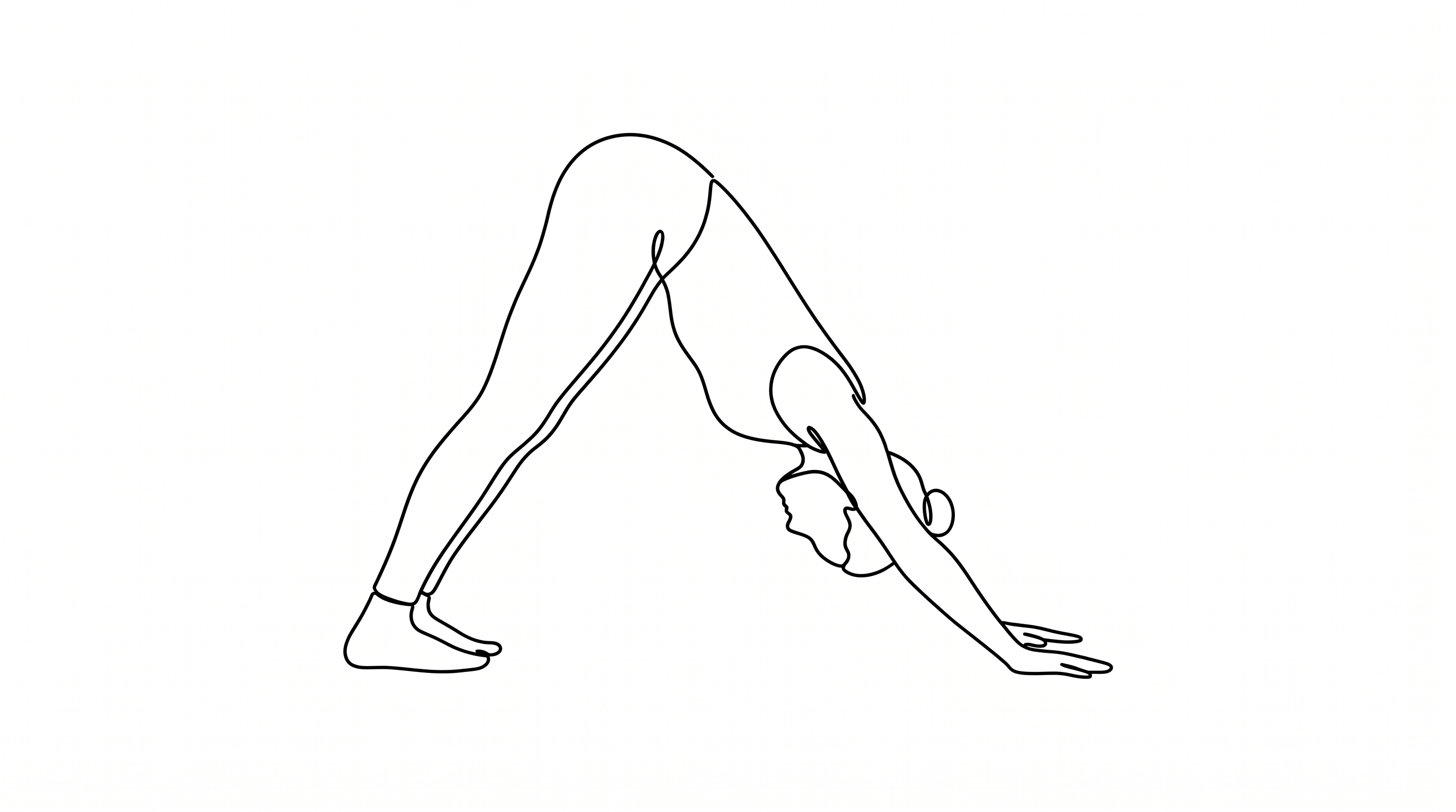 Adho Mukha Svanasana — illustration