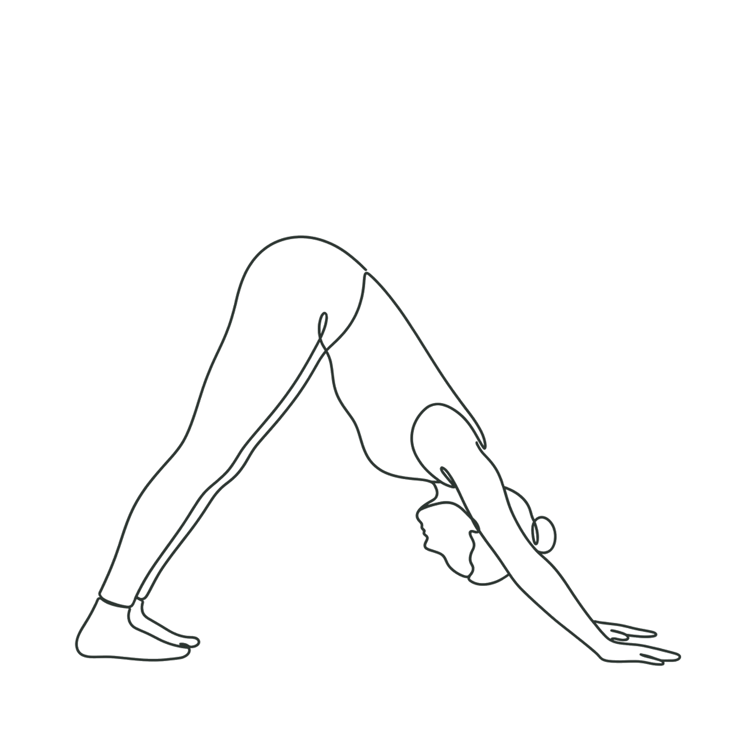 Adho Mukha Svanasana : chien tête en bas