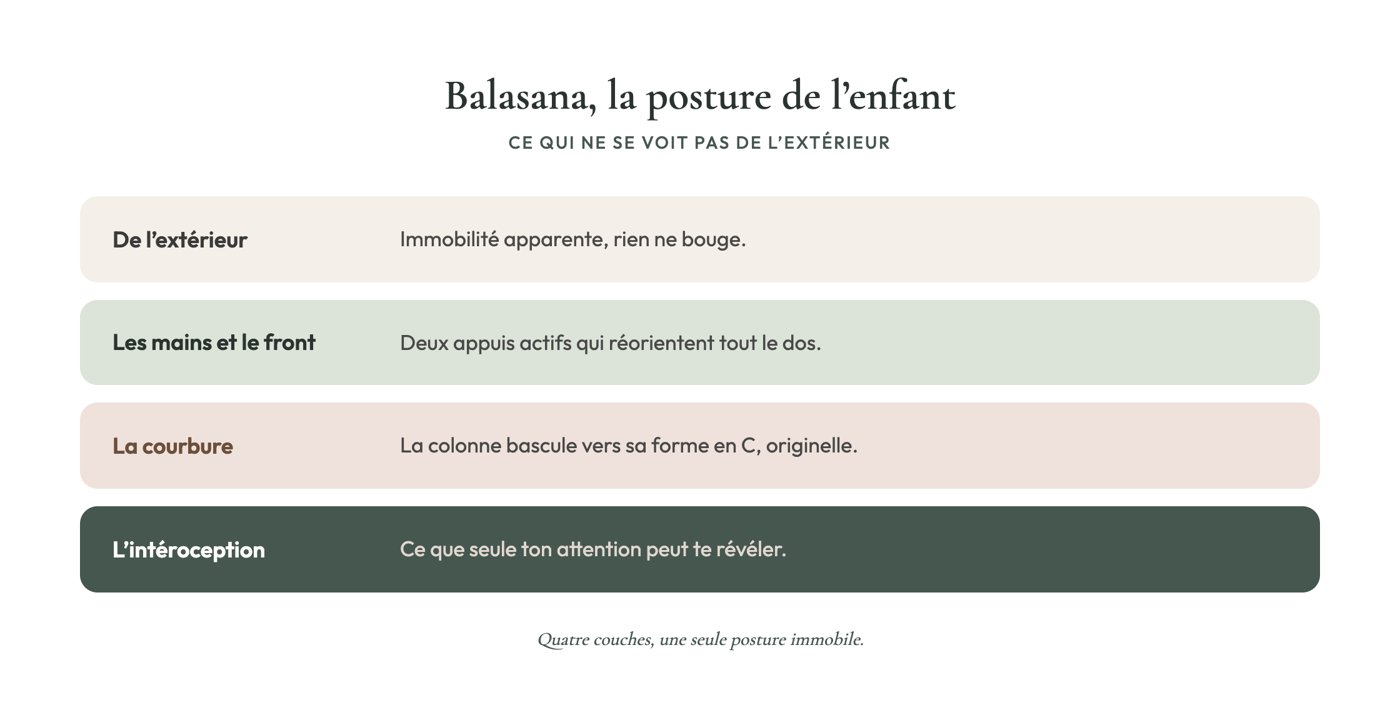 Balasana, la posture de l'enfant : ce qui ne se voit pas de l'extérieur, mains, front, courbure et intéroception